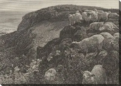 На склоне холма (бродячие овцы)