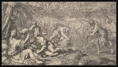 Жнецы зерна