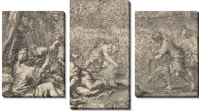 Жнецы зерна