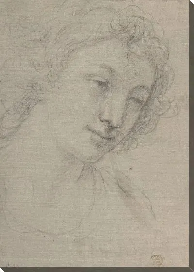 Картина Фигура молодого мужчины или женщины в рост, в три четверти