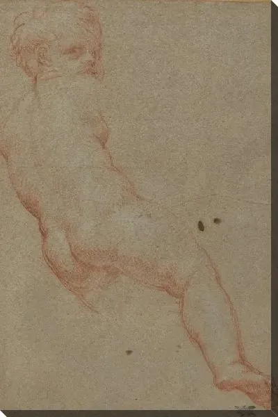 Картина Этюд молодого мальчика