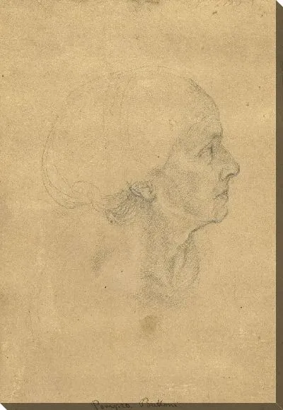 Картина Голова старухи