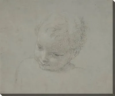 Грудное исследование ребенка