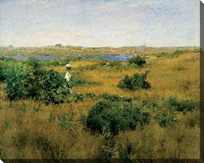 Лето в Шиннекок Хиллз