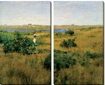 Лето в Шиннекок Хиллз