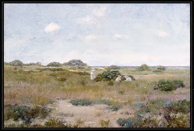 Сбор полевых цветов