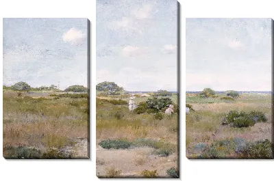 Сбор полевых цветов