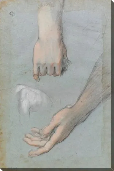 Картина Изгиб мужской бюст; Исследования с двумя руками (для «Представления Богородицы в храме», Рим, церковь Святой Марии в Валличелле)