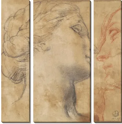 Картина Два исследования головы женщины («Христос прощается с матерью», Шантийи, Музей Конде)