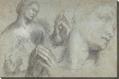 Картина Исследования головы человека и его рук