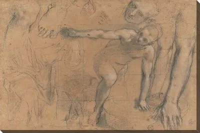 Картина Мужская фигура на коленях и изучение его правой ноги, рук, головы и драпировки (для «Тайной вечери», Урбино, собор Санта-Мария Верджине Ассунта)