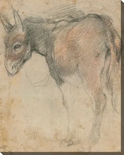 Картина Осел (для «Отдых на пути в Египет», Ватикан, Пинакотека музеев Ватикани)