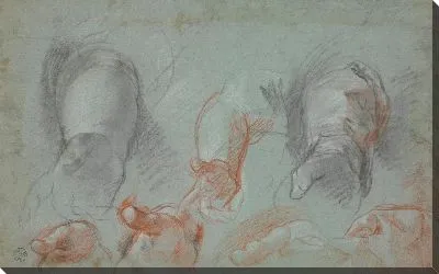 Картина Шесть ручных этюдов (для “Мадонны дель Гатто”, Лондон, Национальная галерея)