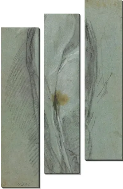 Картина Исследование драпировки (для «Непорочного зачатия», Урбино, Национальная галерея Марке)