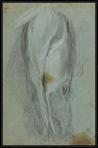 Картина Исследование драпировки (для «Непорочного зачатия», Урбино, Национальная галерея Марке)