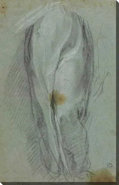 Картина Исследование драпировки (для «Непорочного зачатия», Урбино, Национальная галерея Марке)