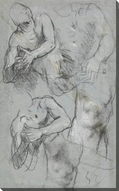 Картина Три исследования мужского бюста и два колена (для «Мученичества святого Виталия», Милан, Пинакотека Брера)