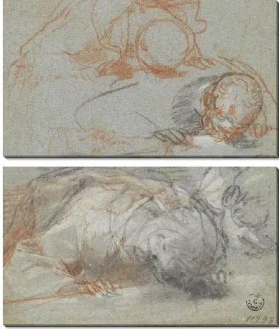 Три этюда сгибающегося рисунка и одного из его головы (для «Успения Богородицы», Милан, Collezione Castelbarco Albani)
