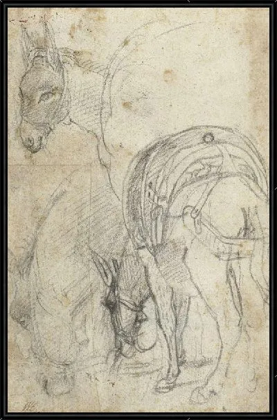 Картина Этюды осла