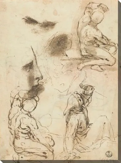 Картина Три этюда и эскиз мужской фигуры, как обнаженной, так и одетой (для “стигматизации Святого Франциска", Урбино, Национальная галерея Делле марке); профиль