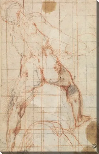 Картина Исследование обнаженной мужской фигуры (для “мученичества святого Виталиса”, Милан, Пинакотека Ди Брера)