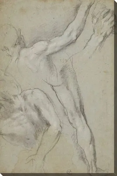 Картина Частичное изучение двух обнаженных мужских фигур, одна с поднятой рукой, другая на Земле, а также изучение ног и рук первой (для “мученичества святого Виталиса”, Милан, Пинакотека Ди Брера)