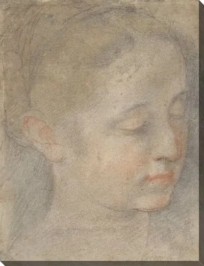 Картина Голова молодой женщины смотрит вниз справа