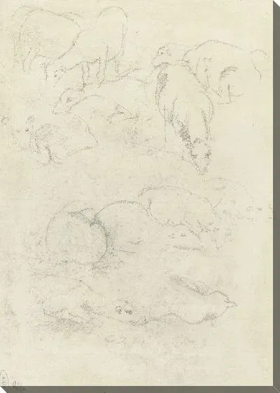 Картина Группы пасущихся и лежащих овец