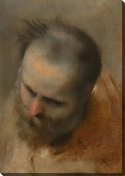 Картина Голова бородатого мужчины, смотрящего в нижний левый угол (Никодим)