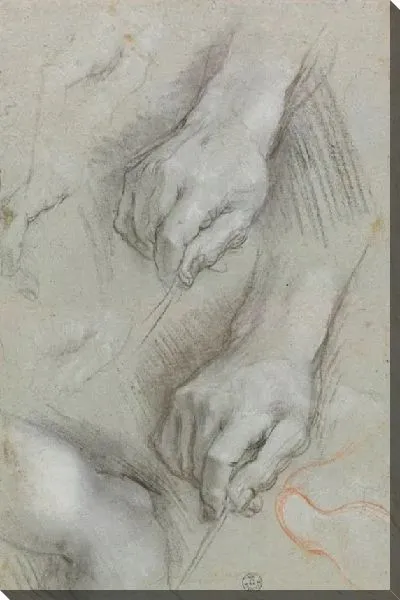 Картина Эскизы рук, пальцев и ног, эскиз стопы (для «Отдых на пути в Египет», Читта-дель-Ватикано, Пинакотека Ватикана)