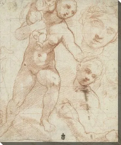 Исследования матери, вынашивающей своего ребенка