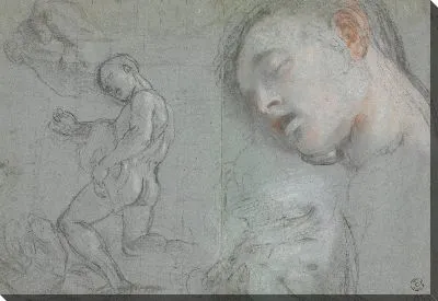 Картина Обнаженная мужская фигура играет в шарманку, изучает свой бюст, голову и руки (для “Мадонны дель Пополо", Флоренция, Галерея дельи Уффици)