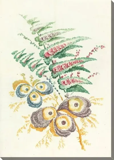 Картина Фантастические цветы с цветками устричных раковин