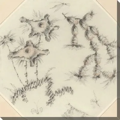 Бамбуковые цветы и кактусы