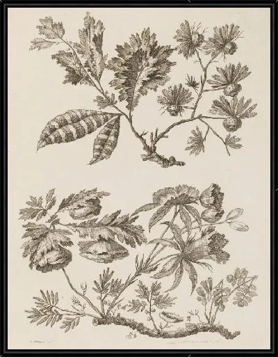 Картина Цветочные ветки, из "Коллекции разных фантазийных цветов по-китайски"