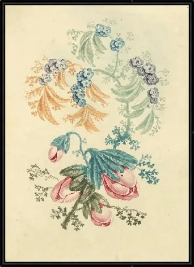 Картина Орнаментальный дизайн с маленькими синими цветами, из Нового набора тетрадей из натуральных цветов для использования дизайнерами и художниками, № 1