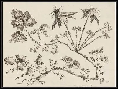 Картина Цветочные ветки, из "Коллекции разных фантазийных цветов по-китайски"