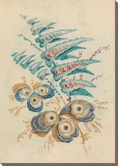 Картина Фантастический цветочный мотив от Nouvelle Suitte de Cahiers de Fleurs Idéales