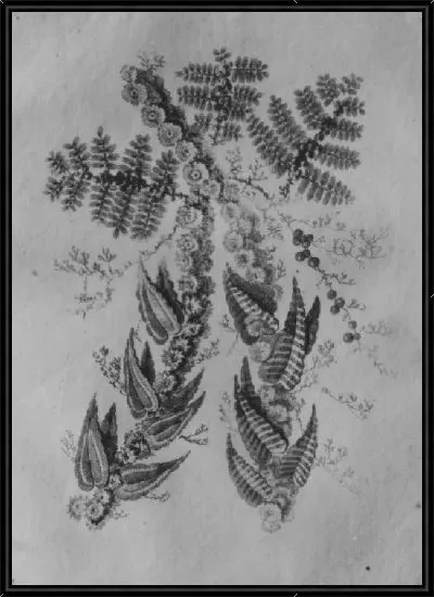 Картина Орнамент от Nouvelle Suite de Fleurs Idéale