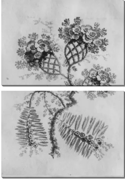 Картина Орнамент от Nouvelle Suite de Fleurs Idéale