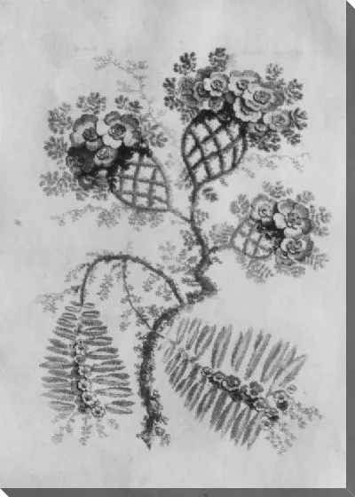 Картина Орнамент от Nouvelle Suite de Fleurs Idéale