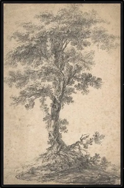 Картина Изучение дерева