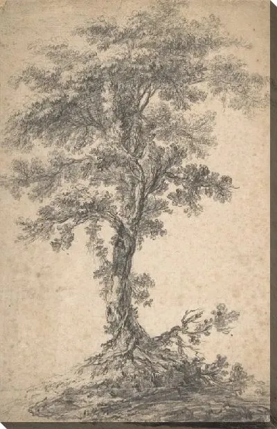 Картина Изучение дерева