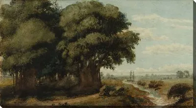 Капрочо (Оливос 13 ноября 1858 г.)