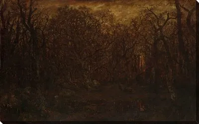 Лес зимой на закате