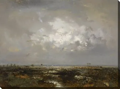 Болото в Ландах