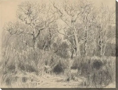 Картина Деревья в зарослях