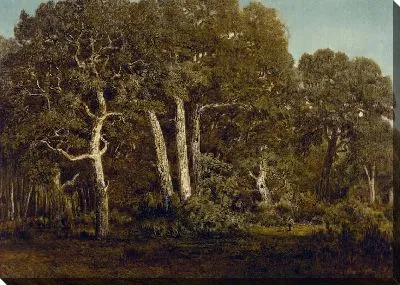 Картина Большие дубы старого бас-Брео