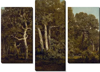 Большие дубы старого бас-Брео