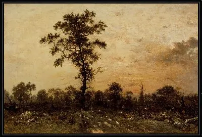 Опушка леса, заходящее солнце